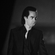 Nick Cave (Photo: Getty Images/Ross Gilmore)